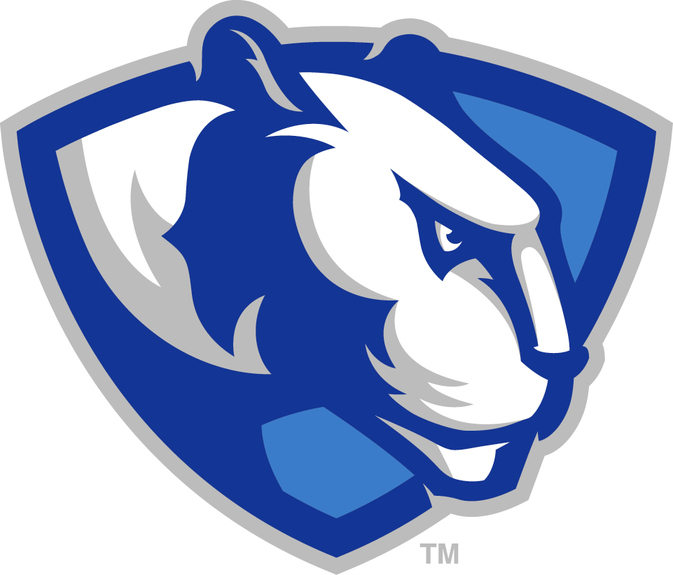 Eastern Illinois Panthers 2015-Pres Partial Logo diy iron on heat transfer